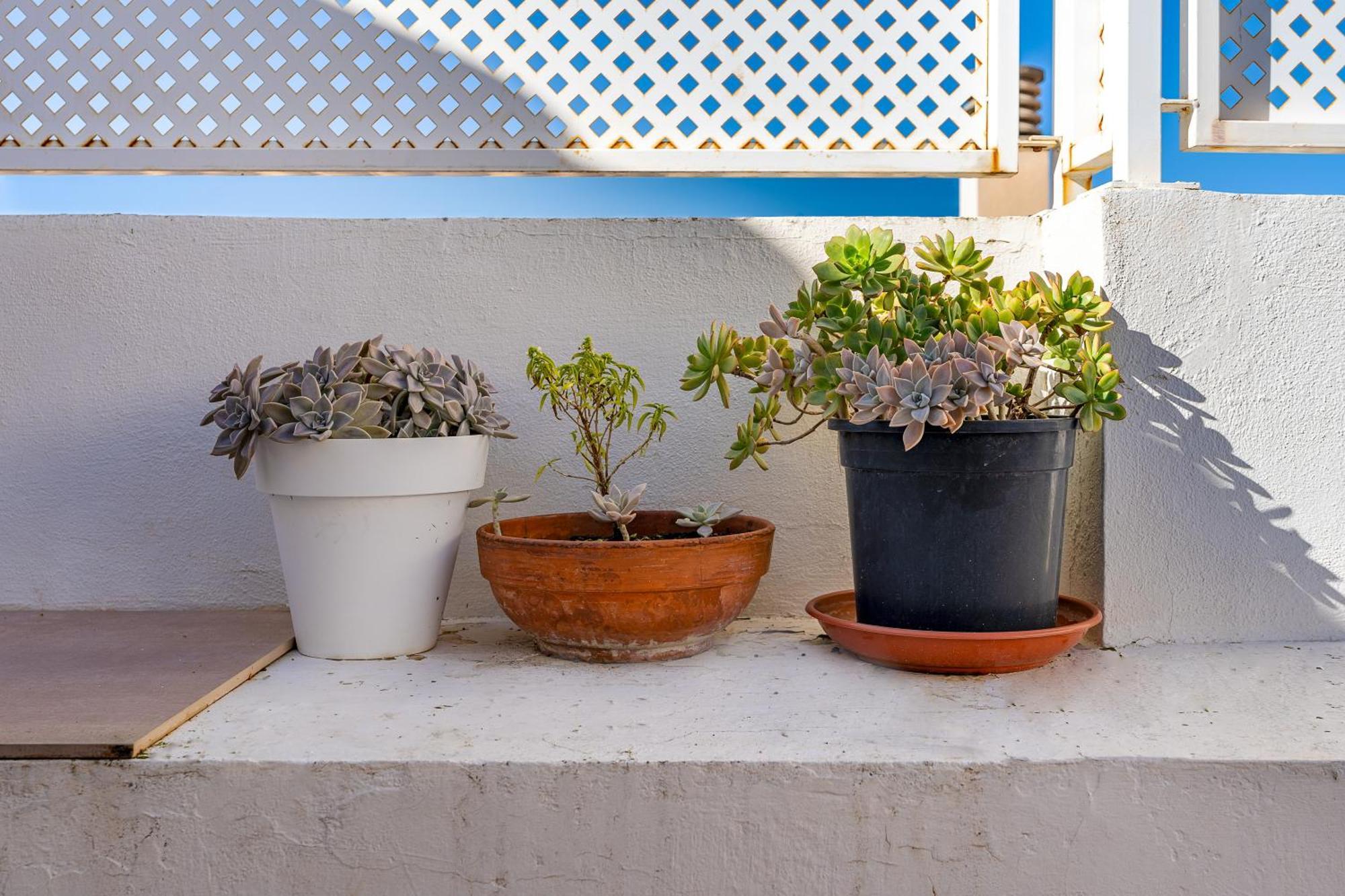 הוילה גרנדה Casa Mirador Alqueria מראה חיצוני תמונה